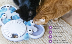 Intelligentes Katzenspielzeug für Katzen im Home Office